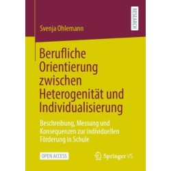 Berufliche Orientierung zwischen Heterogenitat und Individualisierung: Beschreibung, Messung und Konsequenzen zur individuellen Forderung in Schule