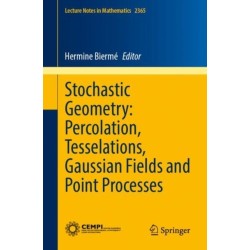 Stochastic Geometry: Percolation, Tesselations, Gaussian Fields and Point Processes