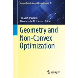 Geometry and Non-Convex Optimization