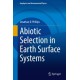 Abiotic Selection in Earth Surface Systems