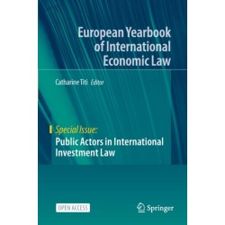 Public Actors in International Investment Law