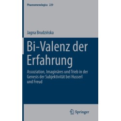 Bi-Valenz der Erfahrung: Assoziation, Imaginares und Trieb in der Genesis der Subjektivitat bei Husserl und Freud
