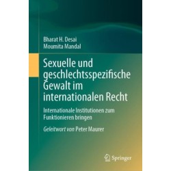 Sexuelle und geschlechtsspezifische Gewalt im internationalen Recht: Internationale Institutionen zum Funktionieren bringen