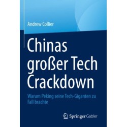 Chinas großer Tech Crackdown: Warum Peking seine Tech-Giganten zu Fall brachte