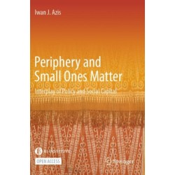 Periphery and Small Ones Matter: Interplay of Policy and Social Capital