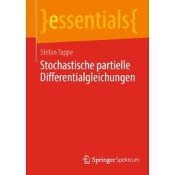 Stochastische partielle Differentialgleichungen