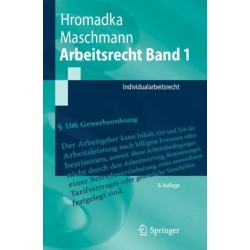 Arbeitsrecht Band 1: Individualarbeitsrecht
