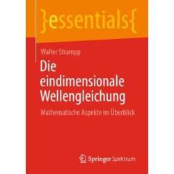 Die eindimensionale Wellengleichung: Mathematische Aspekte im Uberblick