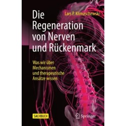 Die Regeneration von Nerven und Ruckenmark: Was wir uber Mechanismen und therapeutische Ansatze wissen