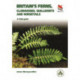 Ferns: Clubmosses, Quillworts and Horsetails of Britain and Ireland