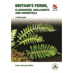 Ferns: Clubmosses, Quillworts and Horsetails of Britain and Ireland