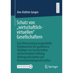 Schutz von „wirtschaftlich-virtuellen“ Gesellschaftern: Eine Untersuchung ausgewahlter Risikobereiche fur qualifizierte Glaubiger von Gesellschaften mit beschrankter Haftung, Aktiengesellschaften und Personenhandelsgesellschaften