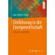 Einfuhrung in die Energiewirtschaft: Ressourcen und Markte