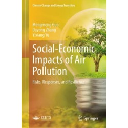 Social-Economic Impacts of Air Pollution: Risks, Responses, and Resilience