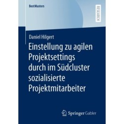 Einstellung zu agilen Projektsettings durch im Sudcluster sozialisierte Projektmitarbeiter
