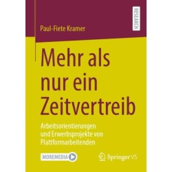 Mehr als nur ein Zeitvertreib: Arbeitsorientierungen und Erwerbsprojekte von Plattformarbeitenden