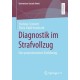 Diagnostik im Strafvollzug: Eine praxisorientierte Einfuhrung
