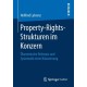 Property-Rights-Strukturen im Konzern: Okonomische Relevanz und Systematik einer Bilanzierung