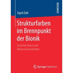 Strukturfarben im Brennpunkt der Bionik: Zwischen Kunst und Naturwissenschaften
