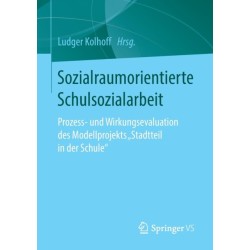 Sozialraumorientierte Schulsozialarbeit: Prozess- und Wirkungsevaluation des Modellprojekts ‚Stadtteil in der Schule‘