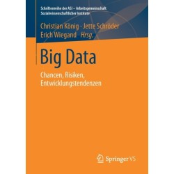 Big Data: Chancen, Risiken, Entwicklungstendenzen