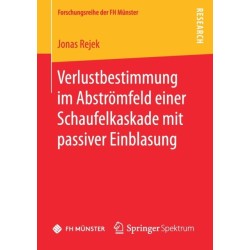 Verlustbestimmung im Abstromfeld einer Schaufelkaskade mit passiver Einblasung