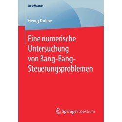 Eine numerische Untersuchung von Bang-Bang-Steuerungsproblemen