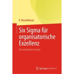Six Sigma fur organisatorische Exzellenz: Ein statistischer Ansatz