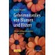 Geheimnisvolles von Blumen und Bluten: Wie sie erfolgreich werben und verfuhren