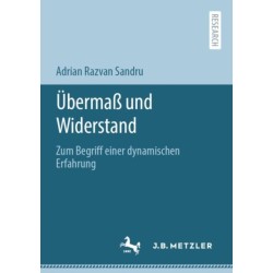 Ubermaß und Widerstand: Zum Begriff einer dynamischen Erfahrung
