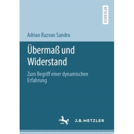Ubermaß und Widerstand: Zum Begriff einer dynamischen Erfahrung