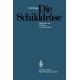Die Schilddruse: Diagnostik und Therapie ihrer Krankheiten