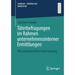 Taterbefragungen im Rahmen unternehmensinterner Ermittlungen: Eine arbeitsrechtliche Untersuchung
