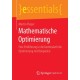 Mathematische Optimierung: Eine Einfuhrung in die kontinuierliche Optimierung mit Beispielen