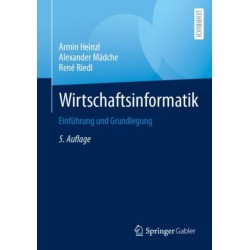 Wirtschaftsinformatik: Einfuhrung und Grundlegung