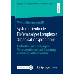 Systemorientierte Tiefenanalyse komplexer Organisationsprobleme: Exploration und Erprobung von Vernetztem Denken und Erkundungsaufstellung im Methodenmix