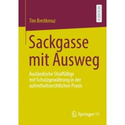 Sackgasse mit Ausweg: Auslandische Straffallige mit Schutzgewahrung in der aufenthaltsrechtlichen Praxis