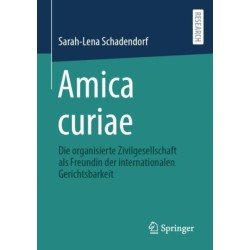 Amica curiae: Die organisierte Zivilgesellschaft als Freundin der internationalen Gerichtsbarkeit