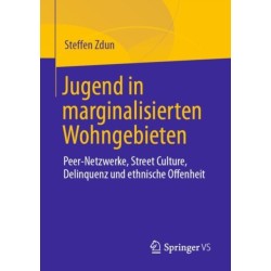 Jugend in marginalisierten Wohngebieten: Peer-Netzwerke, Street Culture, Delinquenz und ethnische Offenheit