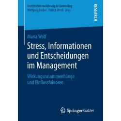 Stress, Informationen und Entscheidungen im Management: Wirkungszusammenhange und Einflussfaktoren