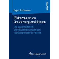 Effizienzanalyse von Dienstleistungsproduktionen: Eine Data Envelopment Analysis unter Berucksichtigung stochastischer externer Faktoren