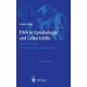 Ethik in Gynakologie Und Geburtshilfe: Entscheidungen Anhand Klinischer Fallbeispiele