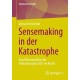 Sensemaking in der Katastrophe: Eine Rekonstruktion der Flutkatastrophe 2021 im Ahrtal