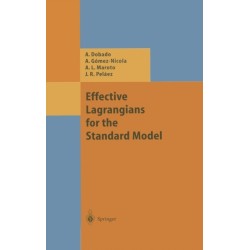 Effective Lagrangians for the Standard Model