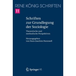 Schriften zur Grundlegung der Soziologie: Theoretische und methodische Perspektiven