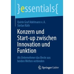 Konzern und Start-up zwischen Innovation und Funktion: Als Unternehmer das Beste aus beiden Welten verbinden