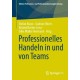 Professionelles Handeln in und von Teams