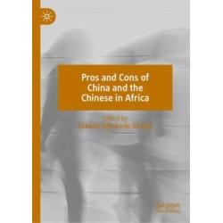 Pros and Cons of China and the Chinese in Africa