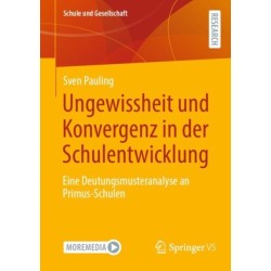 Ungewissheit und Konvergenz in der Schulentwicklung: Eine Deutungsmusteranalyse an Primus-Schulen