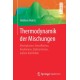 Thermodynamik der Mischungen: Mischphasen, Grenzflachen, Reaktionen, Elektrochemie, außere Kraftfelder